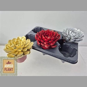 Echev Grande Cinza Painted Mixed