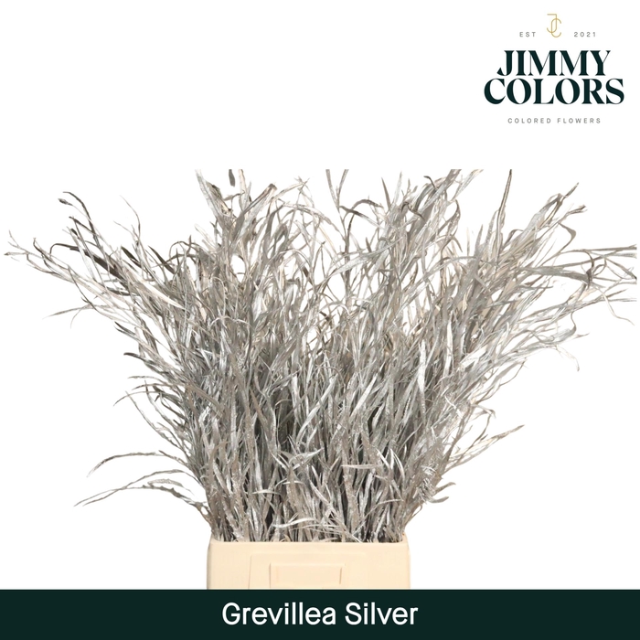 <h4>Grevillea (bunch) Silver</h4>
