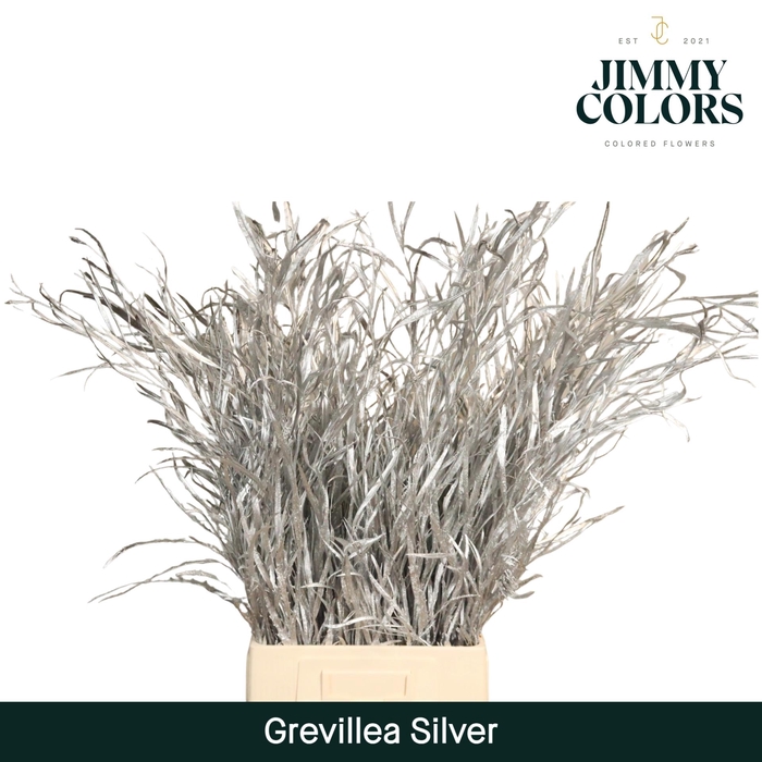 <h4>Grevillea (bunch) Silver</h4>