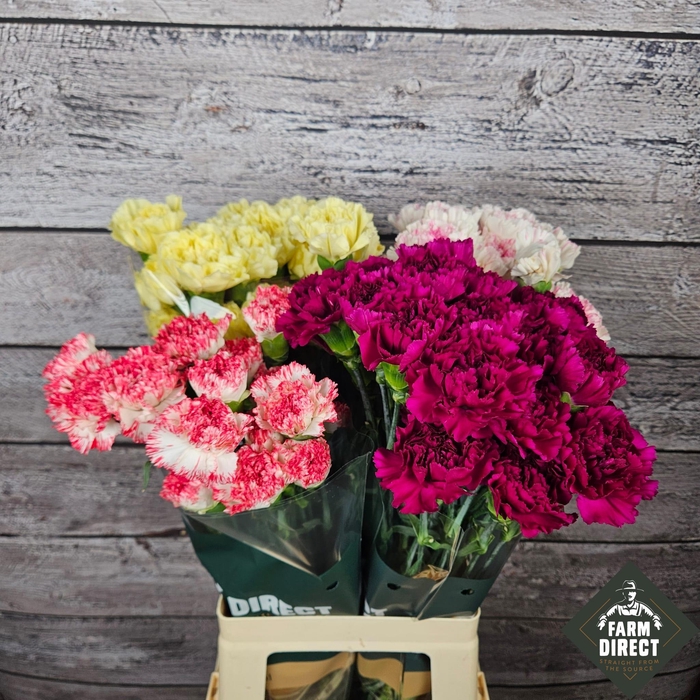 DI ST GEMENGD IN FUST