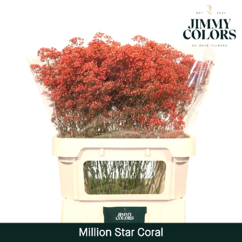 <h4>Gyps Million Star L80 Coral</h4>