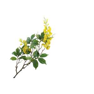 Wisteria Yellow