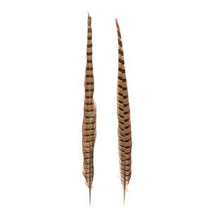 Feathers Pheasant 50cm x2
