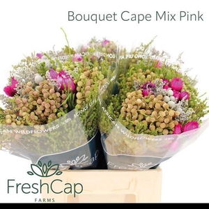 Kaaps Groe Gem In Bs