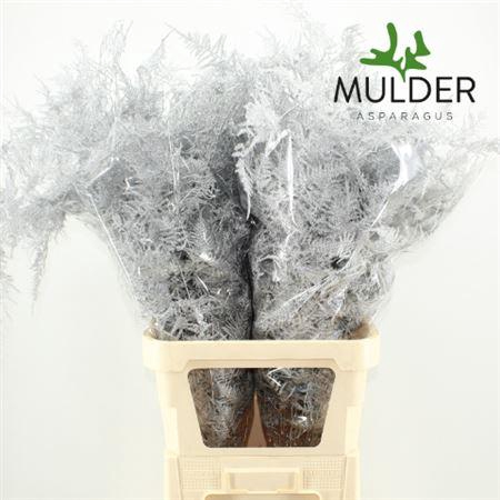 Asp Klb H% L. Getopt Silver