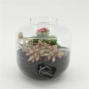 ESCR-2532RZ Essentials terrarium