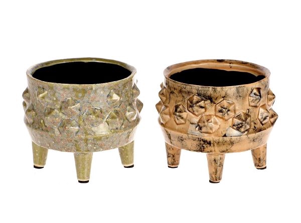 <h4>POT OAK RIDGE ON FEET 2ASS H12D13</h4>