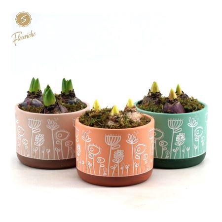 <h4>Hyacinth Mix 3403 Flower Time 3pp Xl</h4>