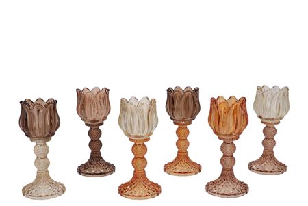 <h4>Bicolore Earthy Terra Bloom T-light Ass 8x18cm Nm</h4>