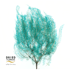 Dried Bleached Coral Leaf Light Blue
