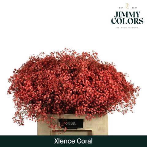 <h4>Gyps Xlence L60 Coral</h4>