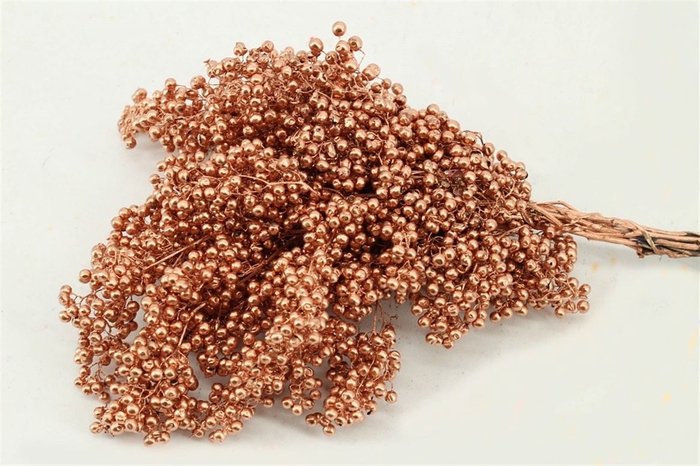 <h4>Schinus M Pt Copper Bunch</h4>
