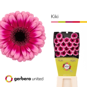 Germini Kiki Diamond