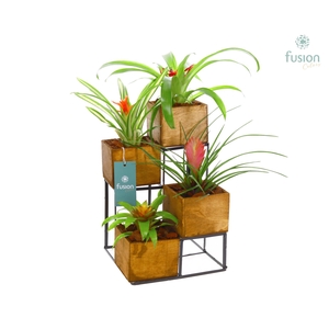 Tower hout met metaal met Bromelia