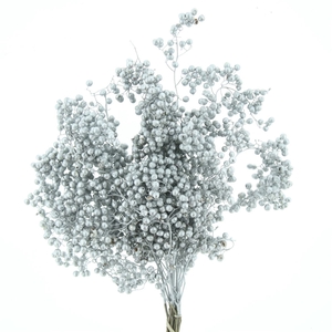 Dried Pepper Berries Silver X12