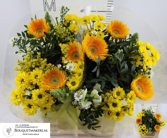 <h4>GEM BOEKET OV</h4>