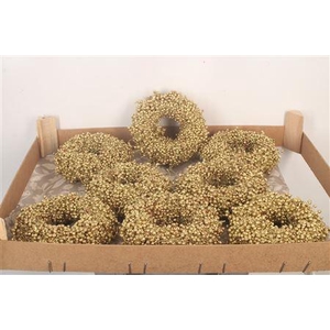 Krans Schinus Gold 12cm