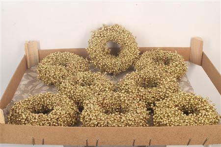 <h4>Krans Schinus Gold 12cm</h4>