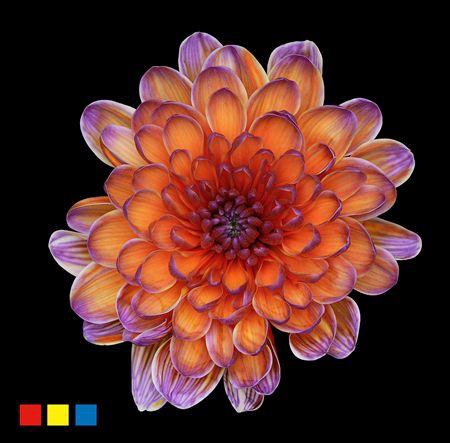 <h4>Chr T Altaj Bonaire</h4>