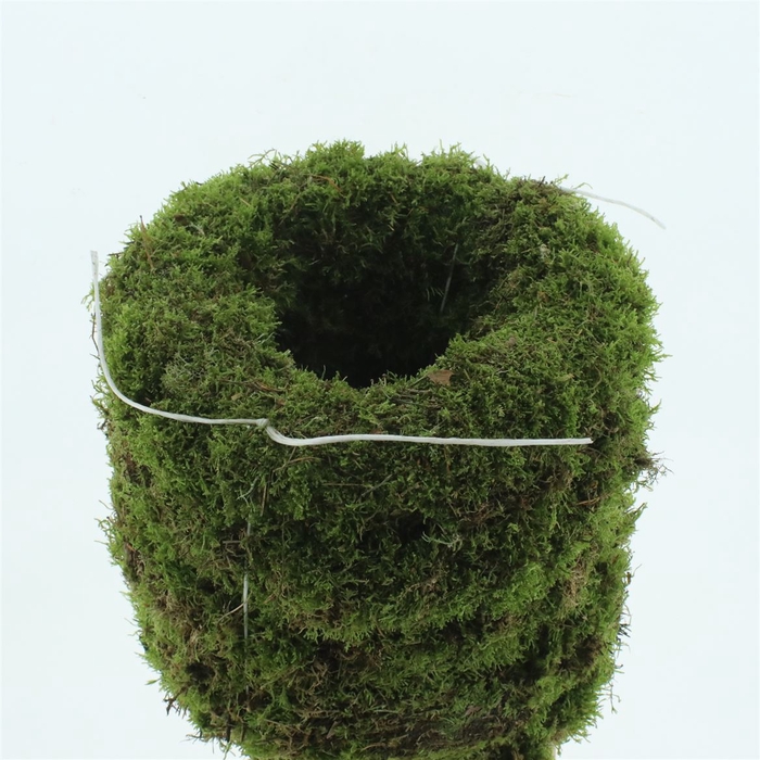 <h4>Wreath Moss Fresh 45cm</h4>