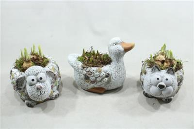 <h4>4984 Dieren Mix Tete</h4>