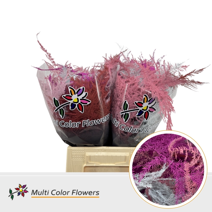 <h4>Asparagus 1e V Love Mix</h4>