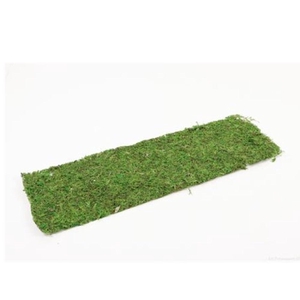 Dried articles Moss sheet 58*18cm