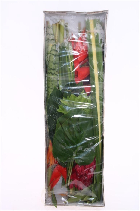 <h4>Box Fiesta 41st (mg)</h4>