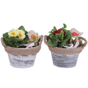 Early Spring Arr. Outdoor Zinc Pot Round Rope Ø17cm 2PP