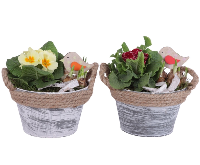 <h4>Early Spring Arr. Outdoor Zinc Pot Round Rope Ø17cm 2PP</h4>