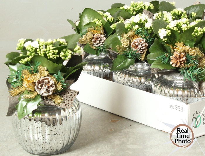 <h4>ARR KAMERPL</h4>