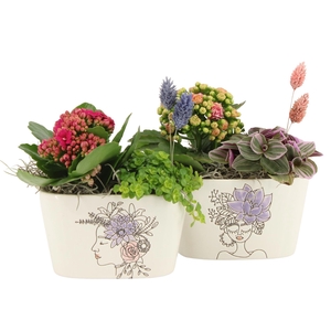 21886: Lovess arrangement