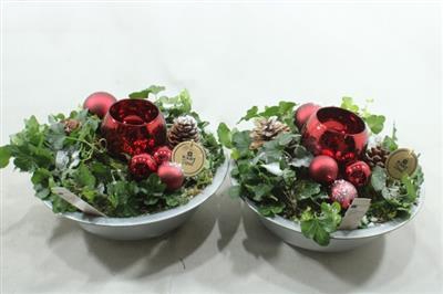 <h4>1685 Rood Zink Schaal Hedera</h4>