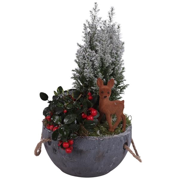 <h4>Winter Arr. Outdoor Ceramic Pot with Rope Handle Ø20cm 3PP</h4>