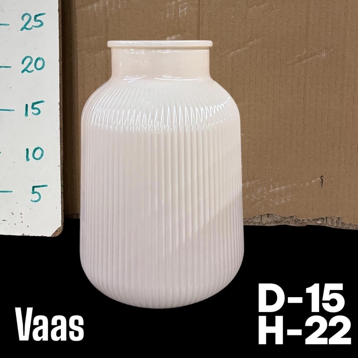 <h4>GLAZEN VAAS H%</h4>