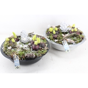 arr4 Hyacint JS - Zink schaal zw/zi mix led