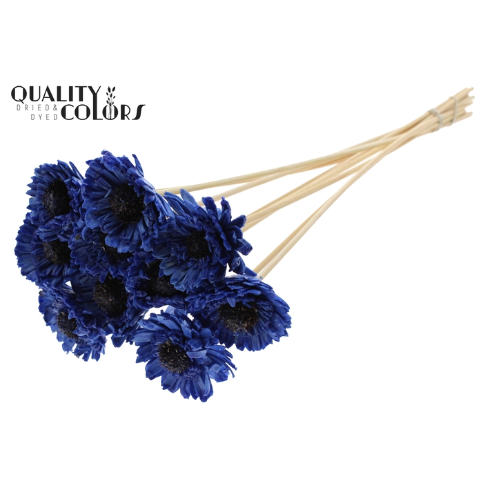 <h4>Shola Daisy Sunflower 6cm on stem Wax Blue</h4>