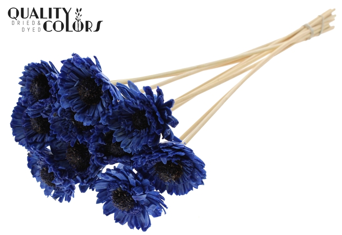 <h4>Shola Daisy Sunflower 6cm on stem Wax Blue</h4>