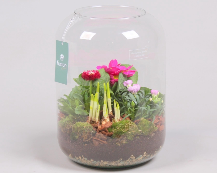 <h4>Green Bottle Isabella XLarge Voorjaar met Arrangement</h4>