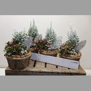 Arr Tuinplanten In Houtschors Kuip