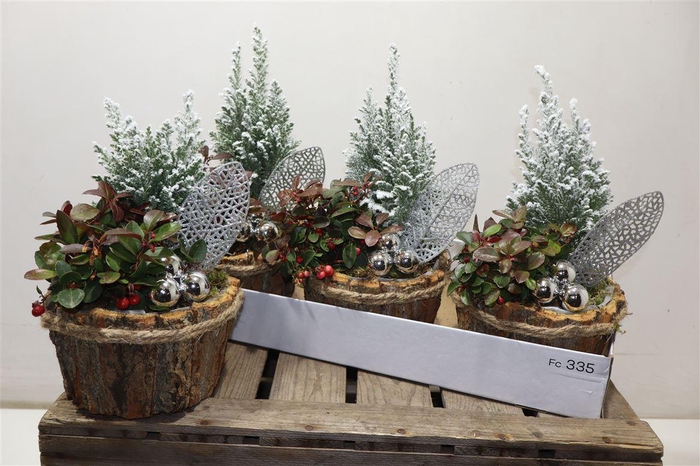 <h4>arr8 Arr Tuinplanten In Houtschors Kuip</h4>