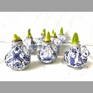 Hipp Wax Delfts Blue Design