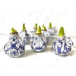 arr8 Hipp Wax Delfts Blue Design