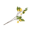Silk Lemon Branch Yellow 80cm Nm