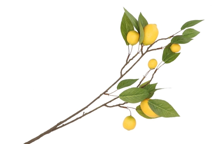 Silk Lemon Branch Yellow 80cm Nm