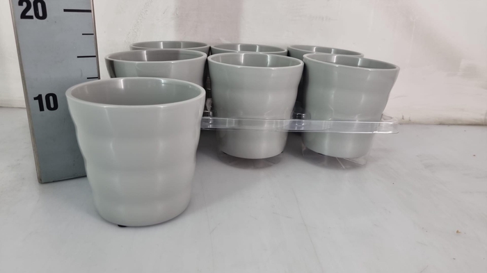 <h4>HUIS EN TUINDECO H%</h4>