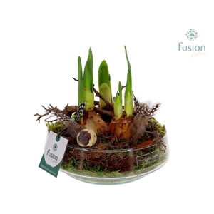 Green Bottle Iris Medium met Pasen arrangement