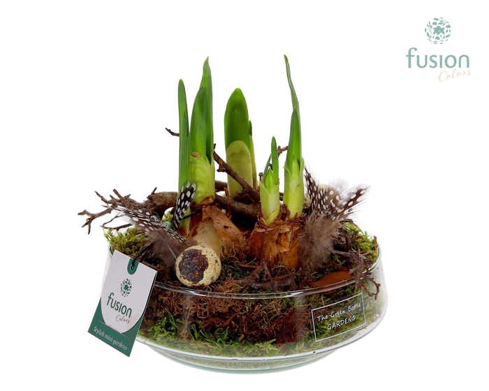 <h4>Green Bottle Iris Medium met Pasen arrangement</h4>