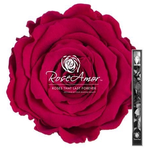60cm Stem Pin05