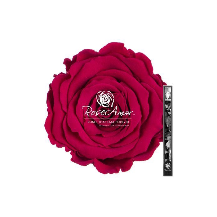 <h4>60cm Stem Pin05</h4>